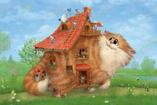 cat, house