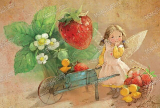 Strawberry Fairy.jpg