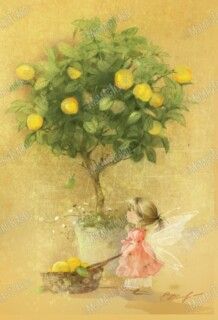 Lemon Fairy